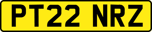 PT22NRZ