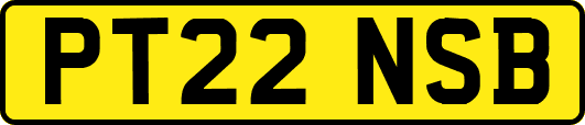 PT22NSB