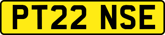 PT22NSE