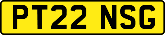 PT22NSG