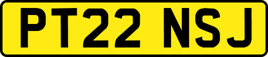 PT22NSJ