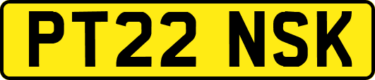 PT22NSK