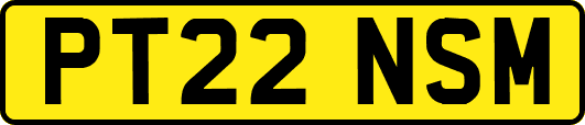 PT22NSM