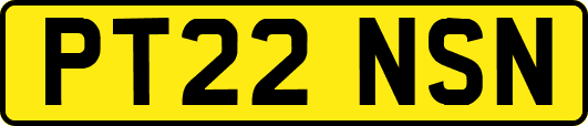 PT22NSN