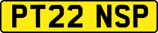 PT22NSP