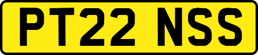 PT22NSS