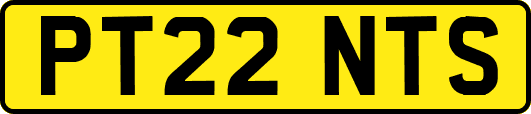 PT22NTS