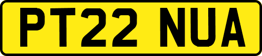 PT22NUA