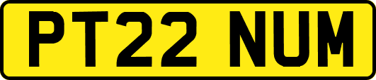 PT22NUM
