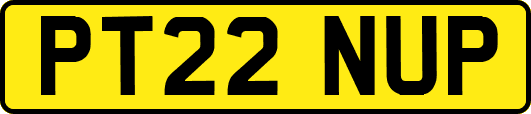 PT22NUP