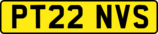 PT22NVS