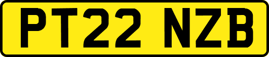 PT22NZB