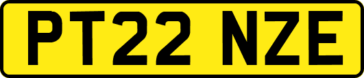 PT22NZE