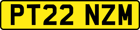 PT22NZM