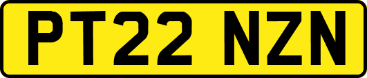 PT22NZN