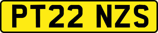 PT22NZS
