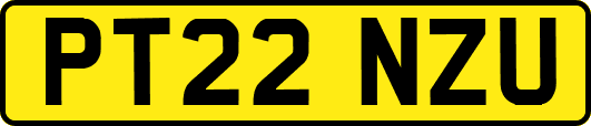 PT22NZU