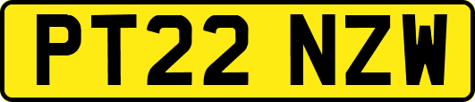 PT22NZW