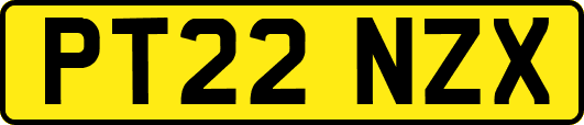 PT22NZX