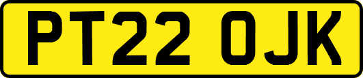 PT22OJK