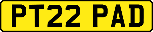 PT22PAD
