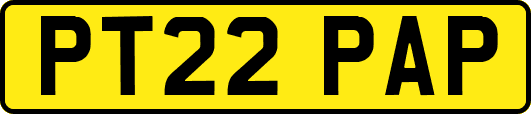 PT22PAP