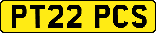 PT22PCS