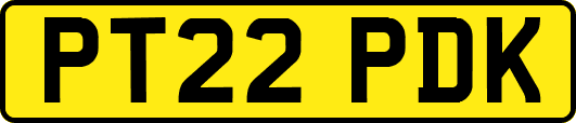 PT22PDK