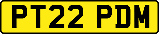 PT22PDM