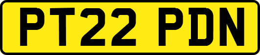 PT22PDN