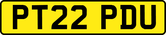 PT22PDU