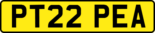 PT22PEA