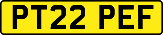 PT22PEF