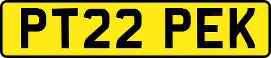 PT22PEK