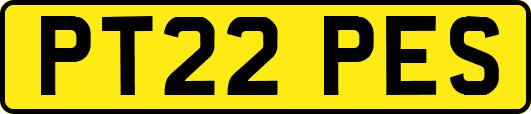 PT22PES