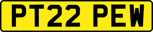 PT22PEW