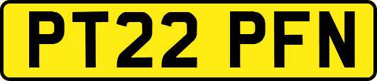 PT22PFN
