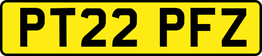 PT22PFZ