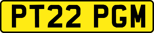 PT22PGM