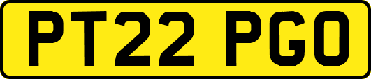 PT22PGO
