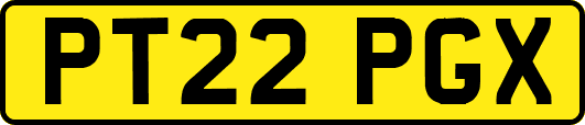 PT22PGX