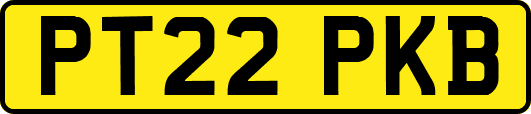 PT22PKB