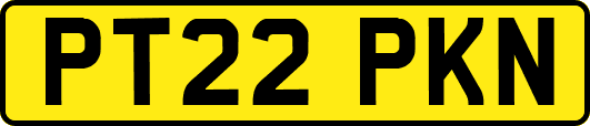 PT22PKN
