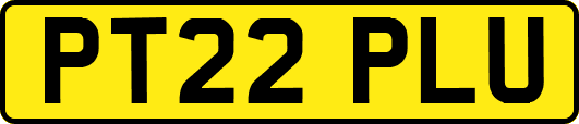 PT22PLU