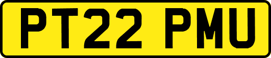 PT22PMU