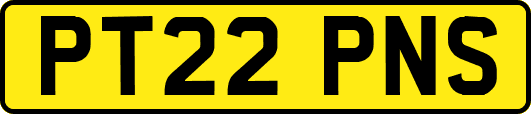 PT22PNS