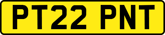 PT22PNT