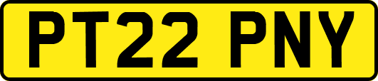PT22PNY