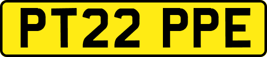 PT22PPE