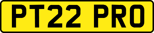 PT22PRO